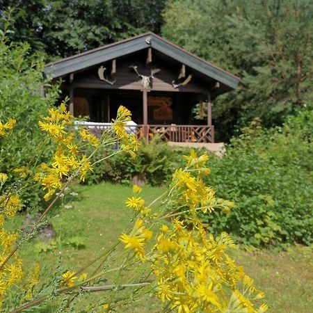 Blockhaus Am Twistesee Mit 3 Schlafzimmern Бад Аролзен Екстериор снимка