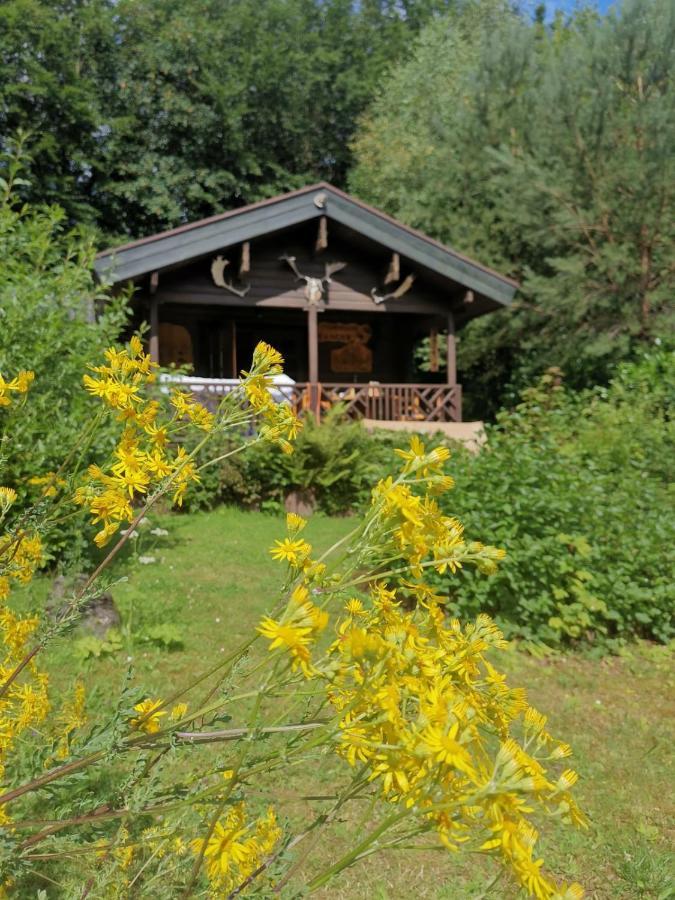 Blockhaus Am Twistesee Mit 3 Schlafzimmern Бад Аролзен Екстериор снимка