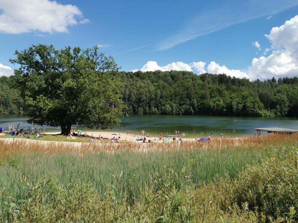 Blockhaus Am Twistesee Mit 3 Schlafzimmern Бад Аролзен Екстериор снимка