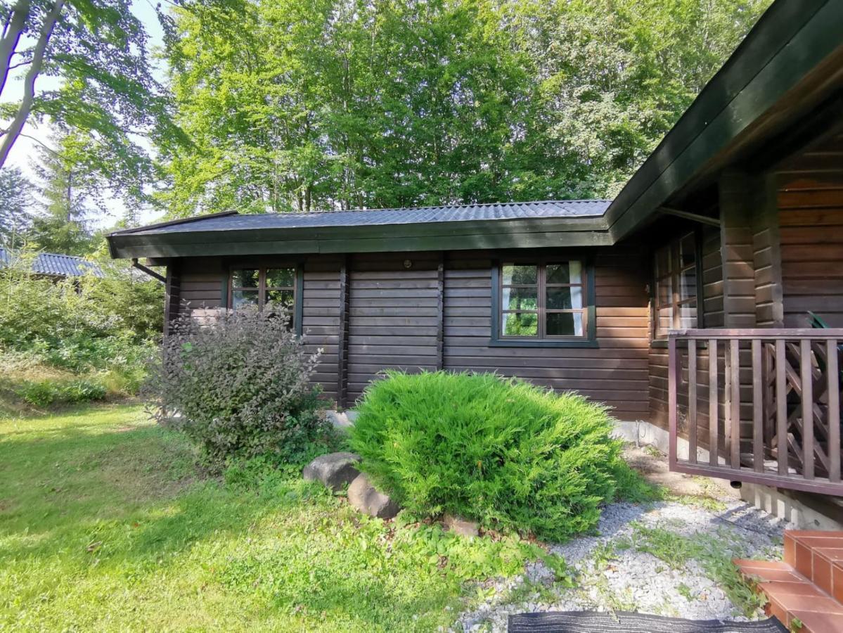 Blockhaus Am Twistesee Mit 3 Schlafzimmern Бад Аролзен Екстериор снимка
