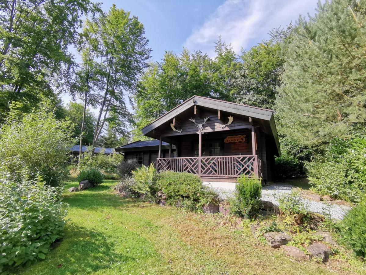 Blockhaus Am Twistesee Mit 3 Schlafzimmern Бад Аролзен Екстериор снимка