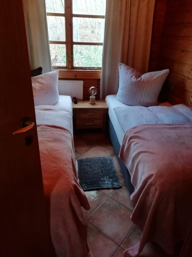 Blockhaus Am Twistesee Mit 3 Schlafzimmern Бад Аролзен Екстериор снимка